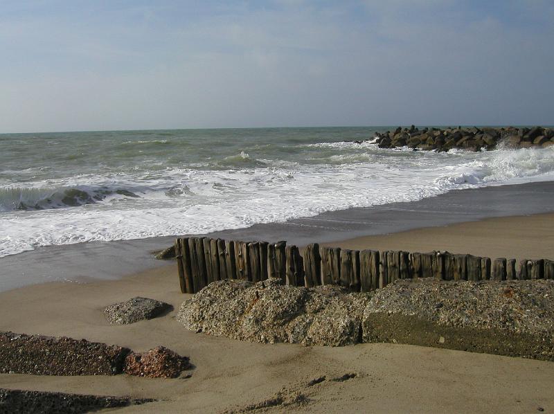 fg 019.jpg
